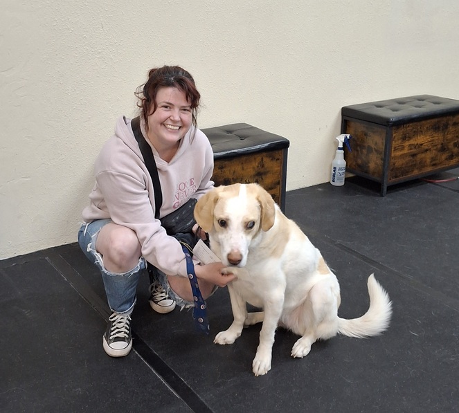 Front Range K9 Academy Facebook ad: Front Range K9 Academy - NoCo Dog Trainer