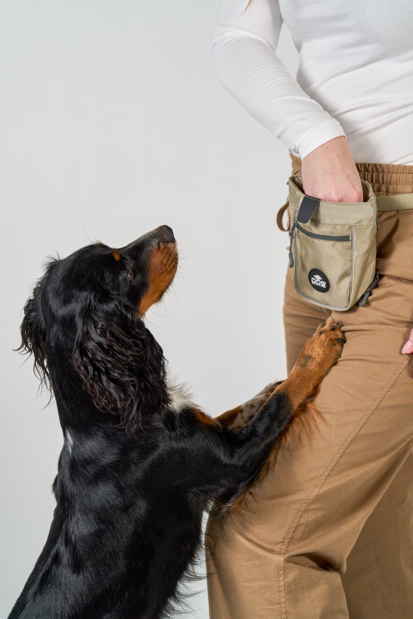 DOG Copenhagen Facebook ad