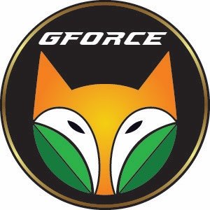 Gforce Printing & Graphics Facebook ad: Full Service Commercial Printer established in 2003.
