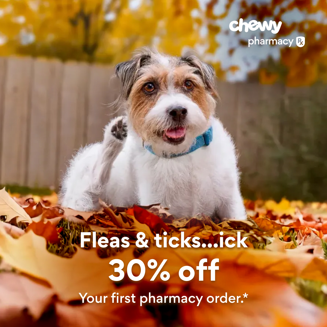 Chewy Facebook ad: Save on flea & tick meds