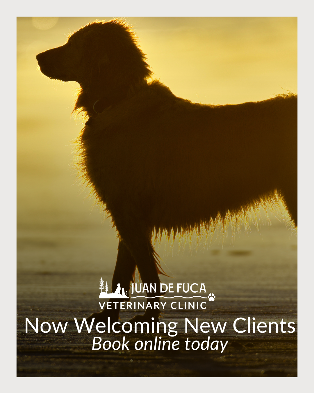 Juan de Fuca Veterinary Clinic Facebook ad
