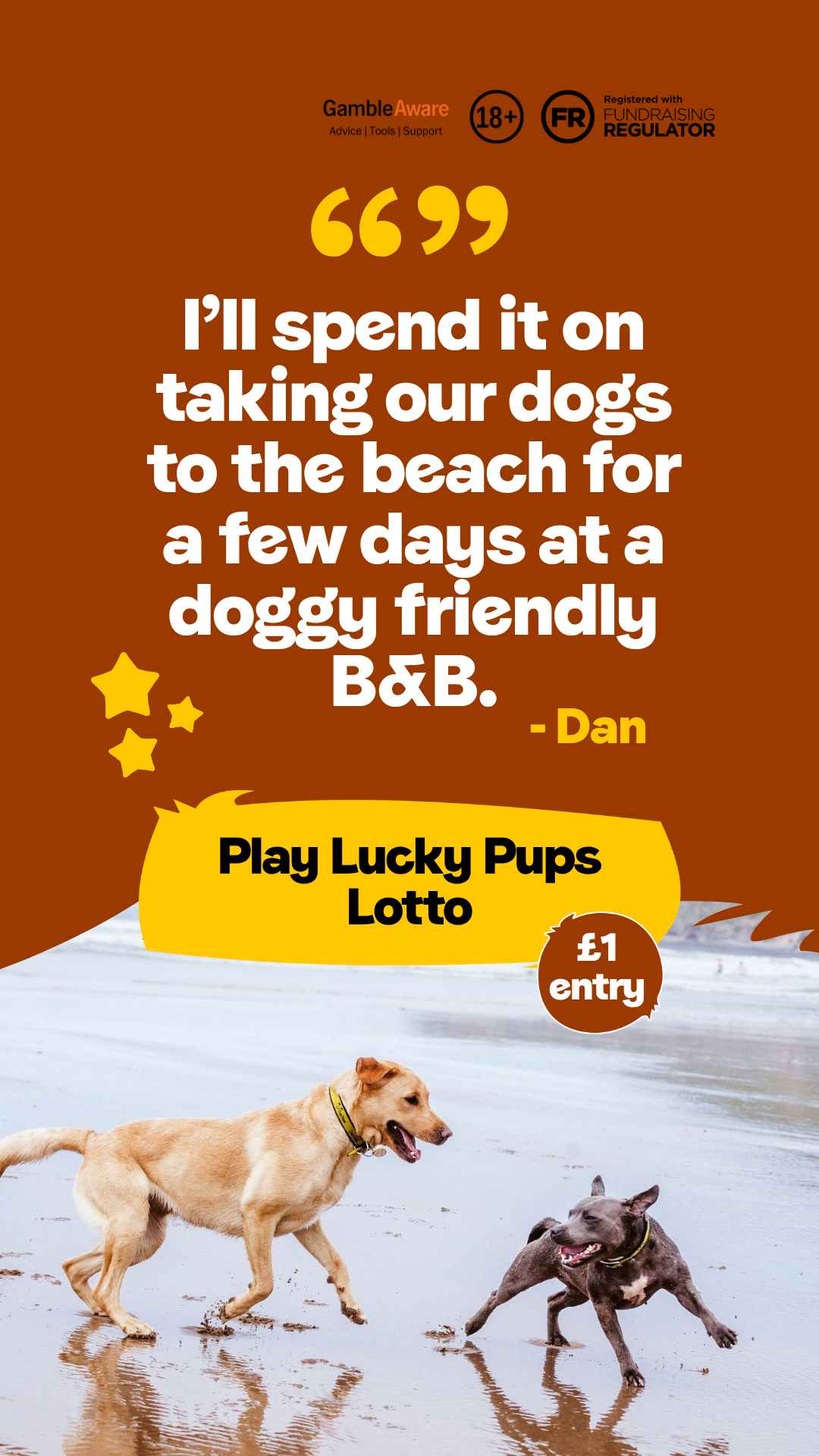 Dogs Trust Facebook ad