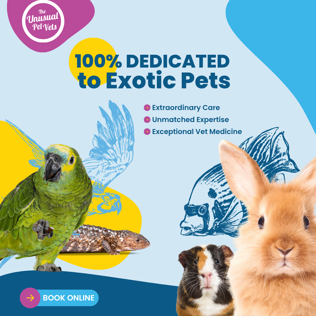 The Unusual Pet Vets Facebook ad
