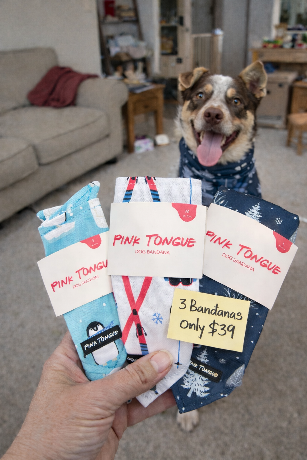 Pink Tongue Bandanas Facebook ad