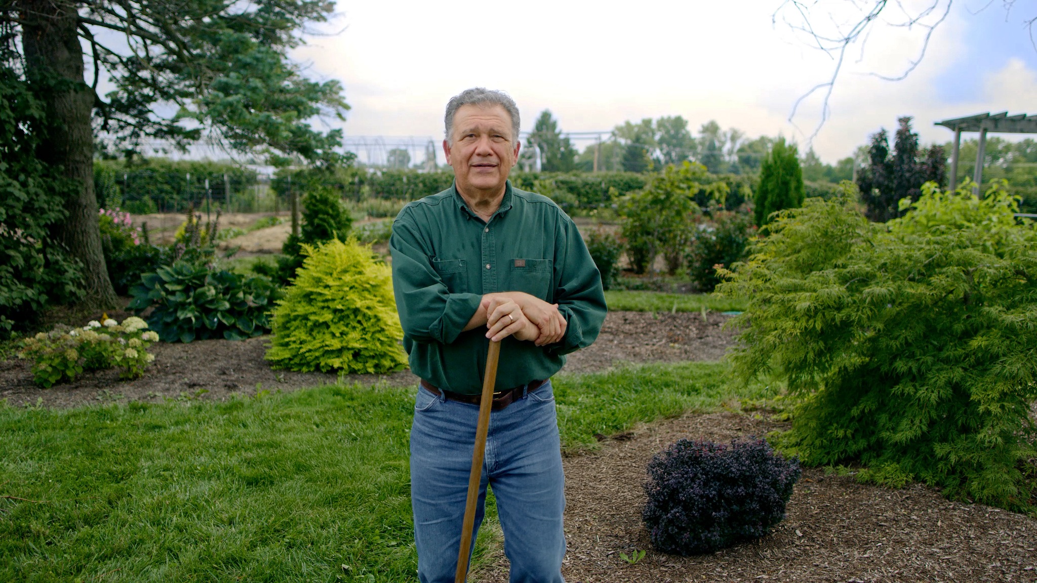 Gurney's Seed and Nursery Co. Facebook ad