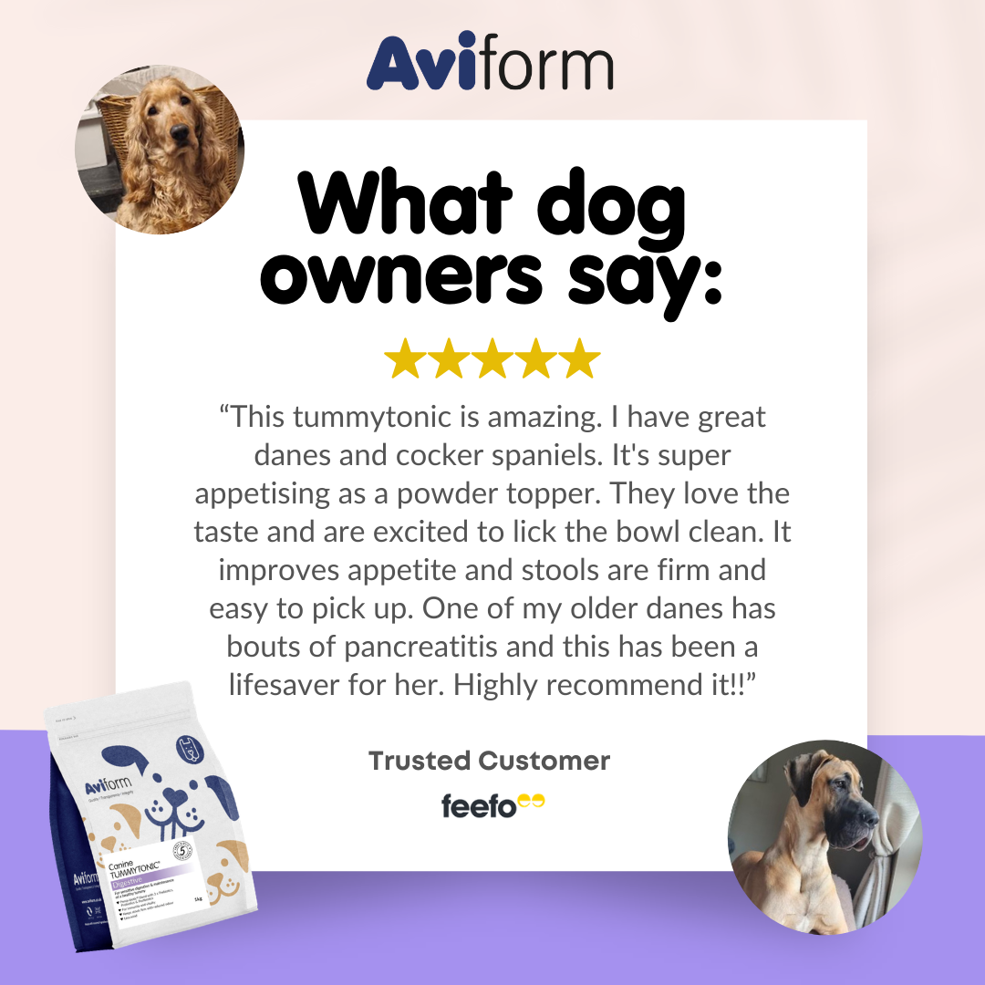 Aviform Nutrition UK - Horse & Dog Facebook ad