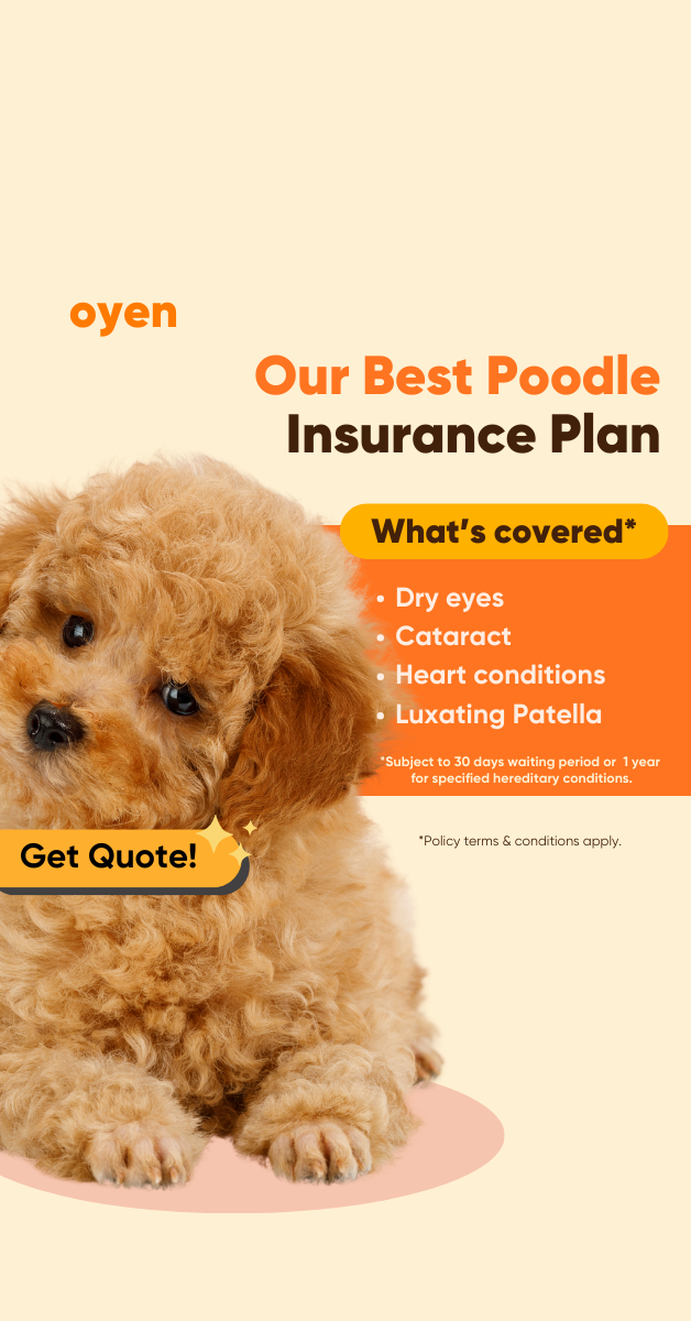 Oyen Pet Insurance & Takaful Kucing Facebook ad
