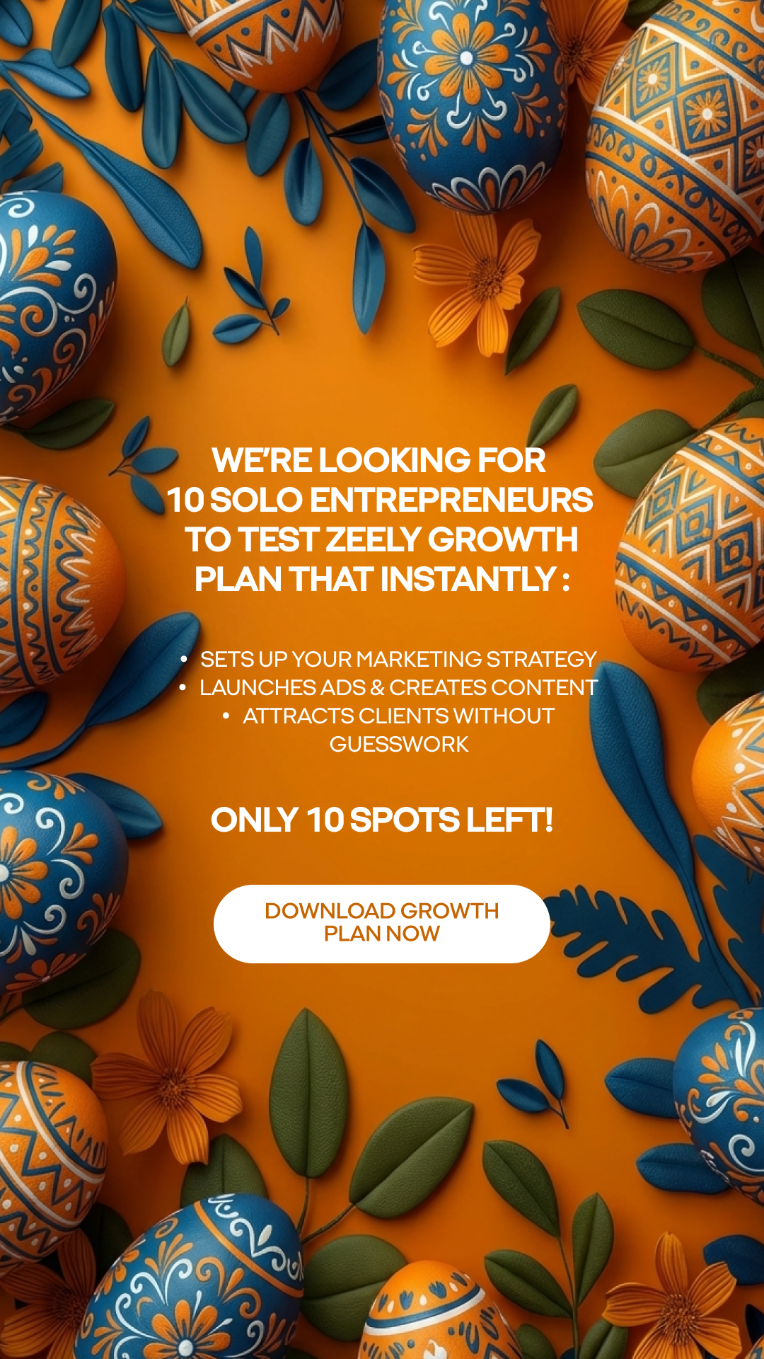 Zeely Facebook ad