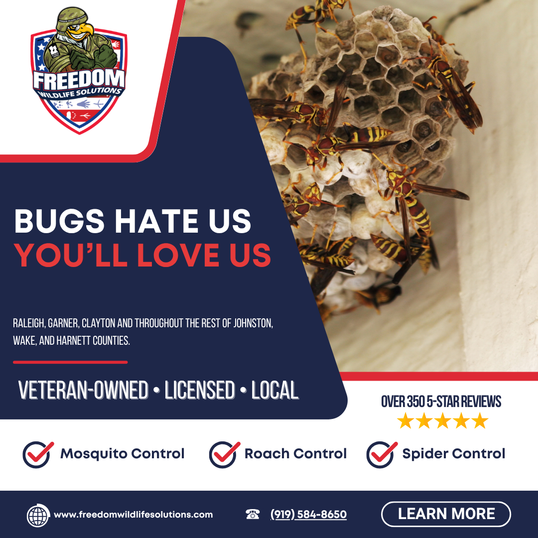 Freedom Wildlife Solutions & Pest Control Facebook ad