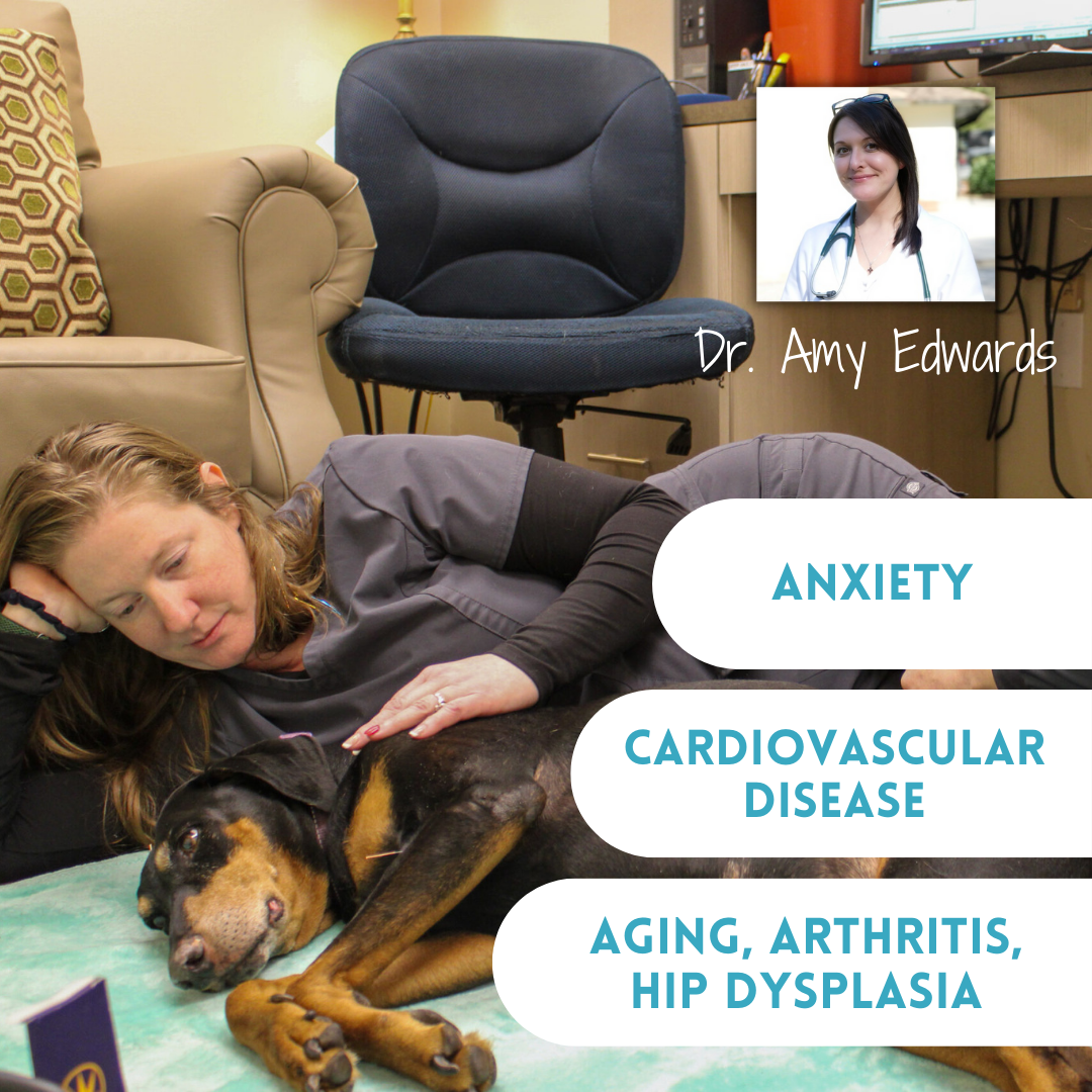 Cornwallis Road Animal Hospital Facebook ad: Safe & Effective Acupuncture for Pets