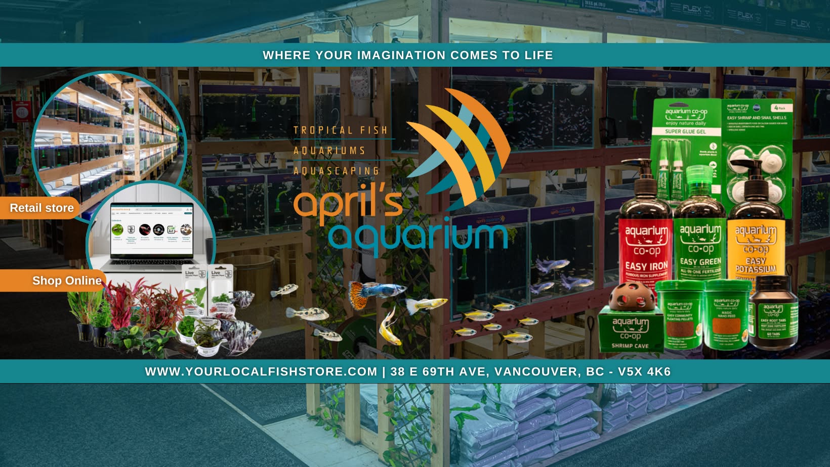 April's Aquarium Facebook ad: Your Local Fish Store