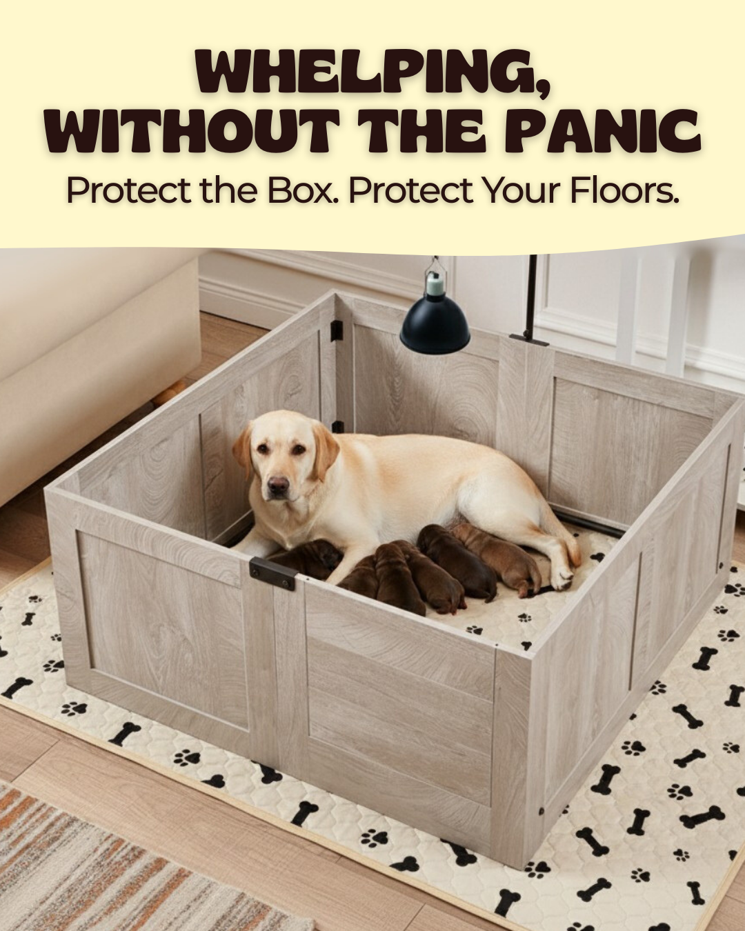 Potty Buddy Facebook ad