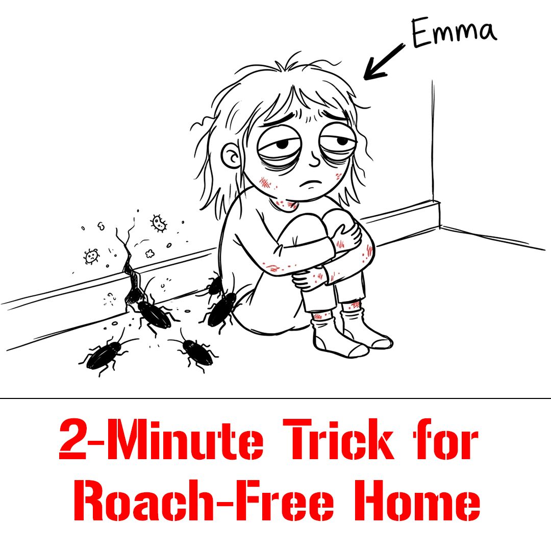 Bug-Hating Moms Facebook ad