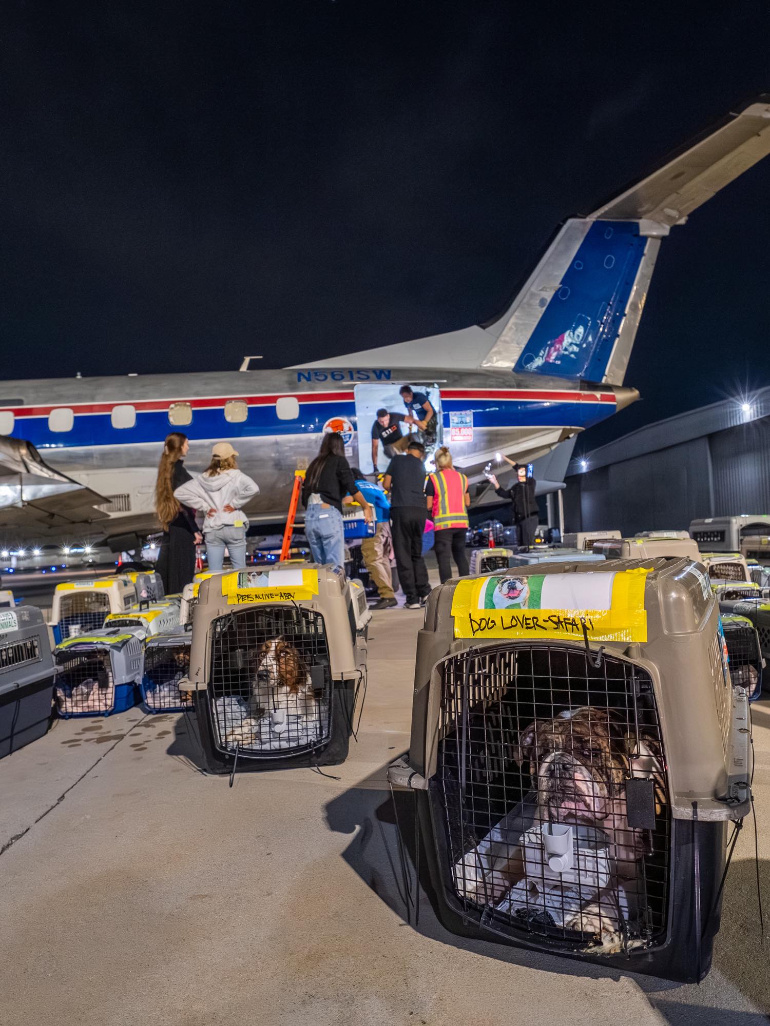 Wings of Rescue Facebook ad