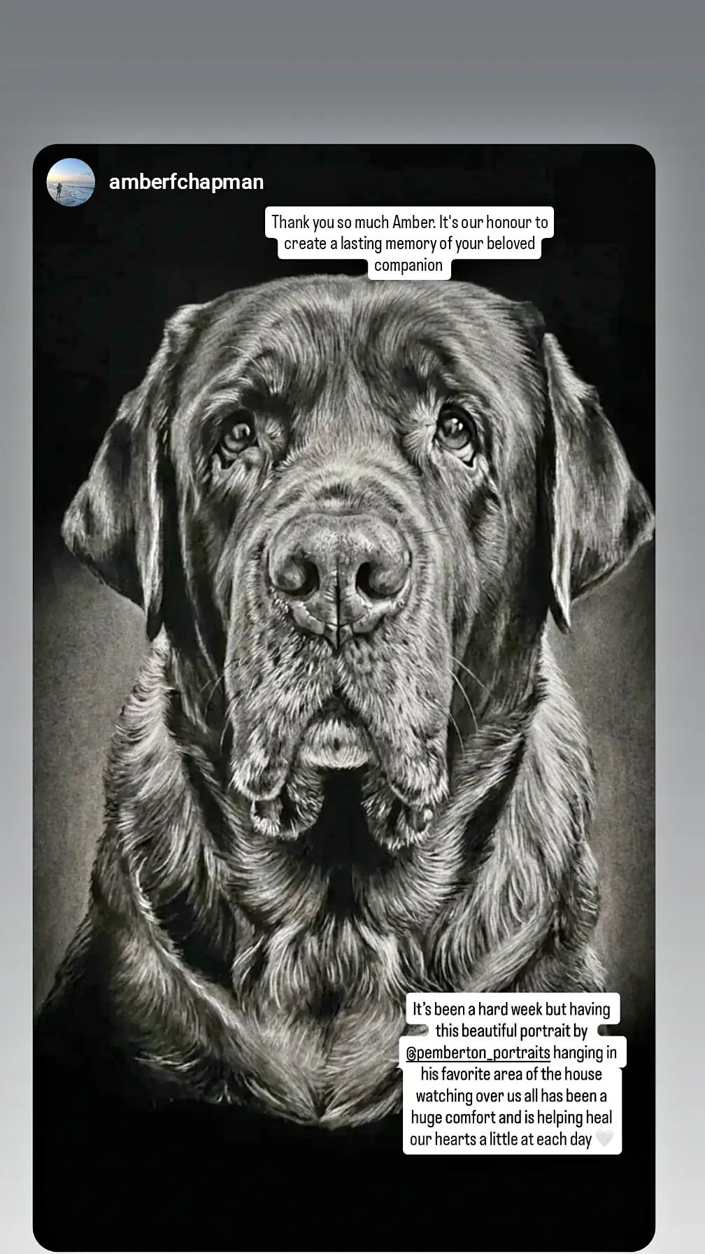 Pemberton Portraits Facebook ad