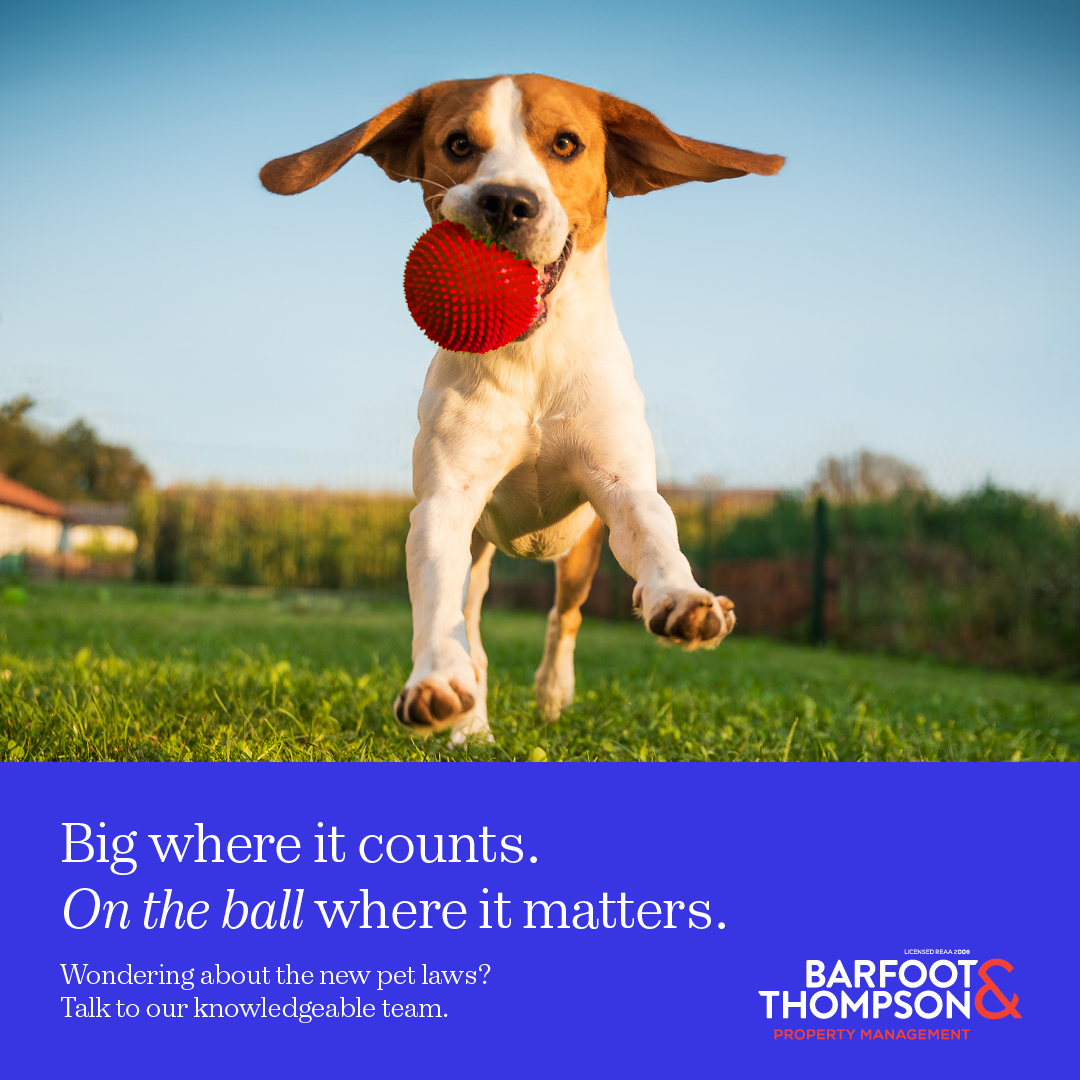 Barfoot & Thompson Facebook ad