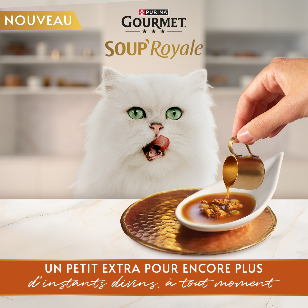 Purina France Facebook ad
