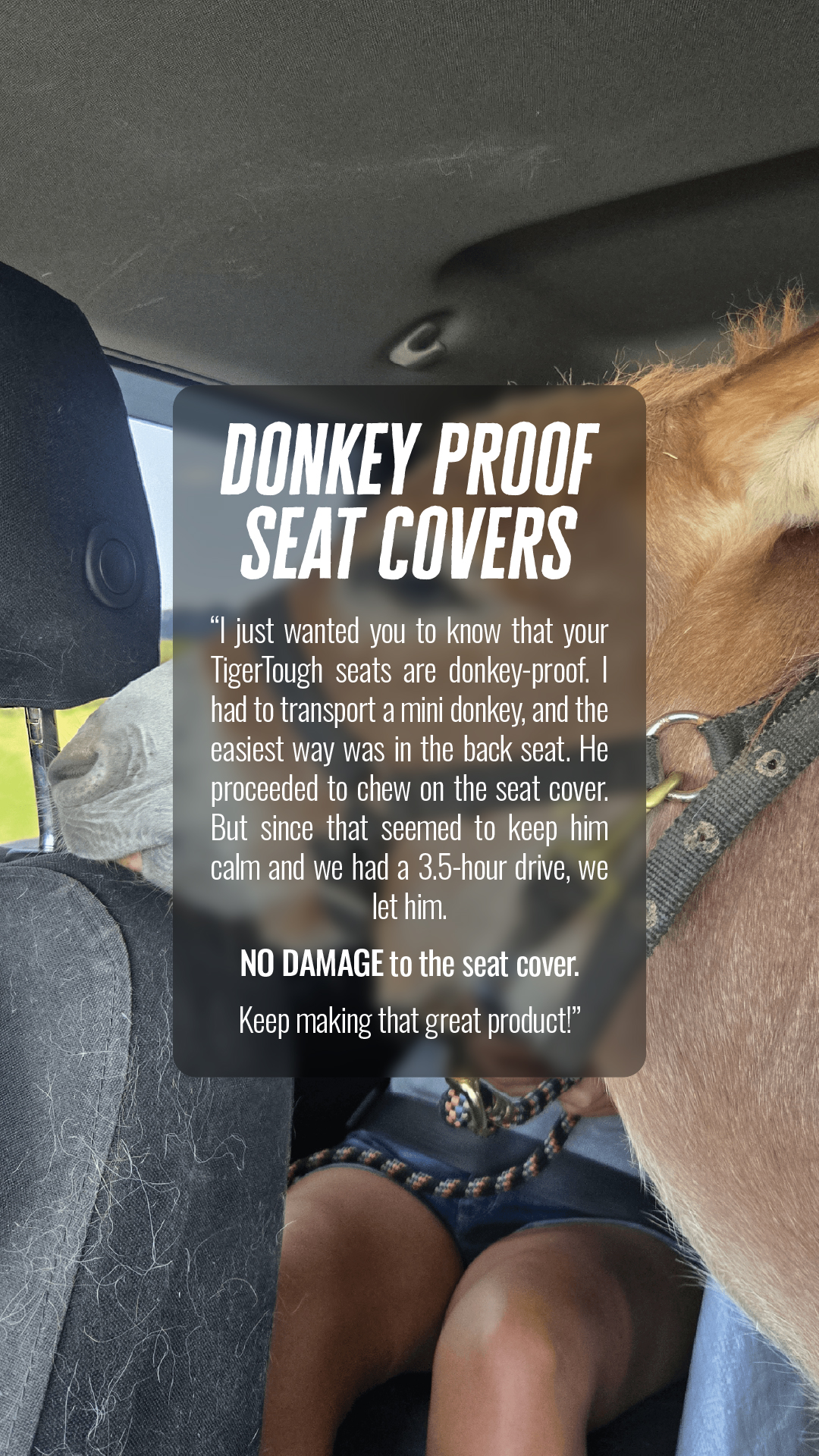 TigerTough Seat Covers Facebook ad