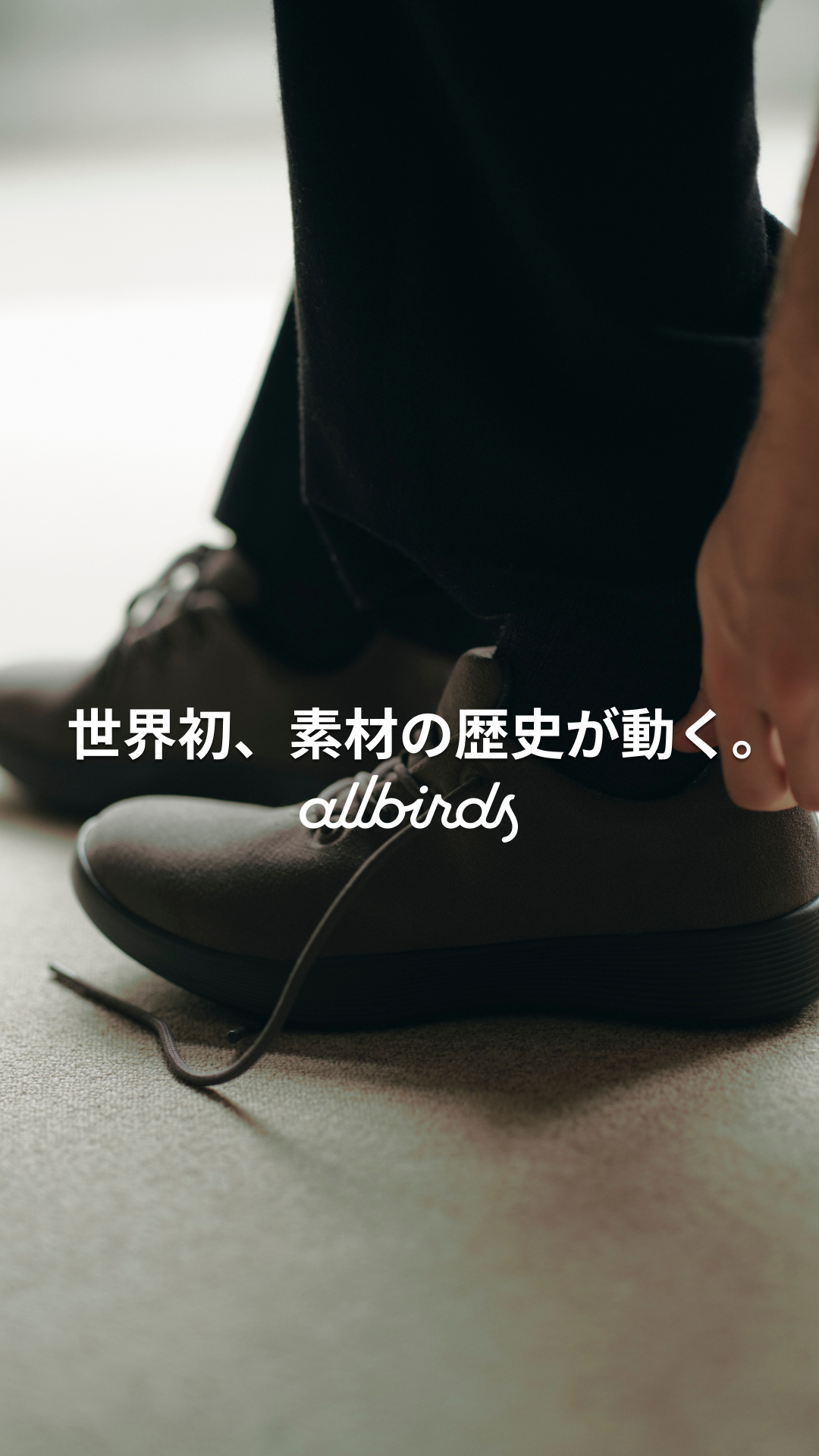 Allbirds Japan Facebook ad