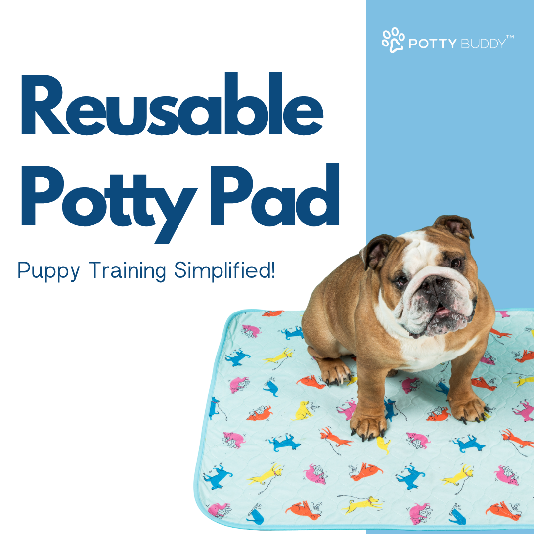 Potty Buddy Facebook ad