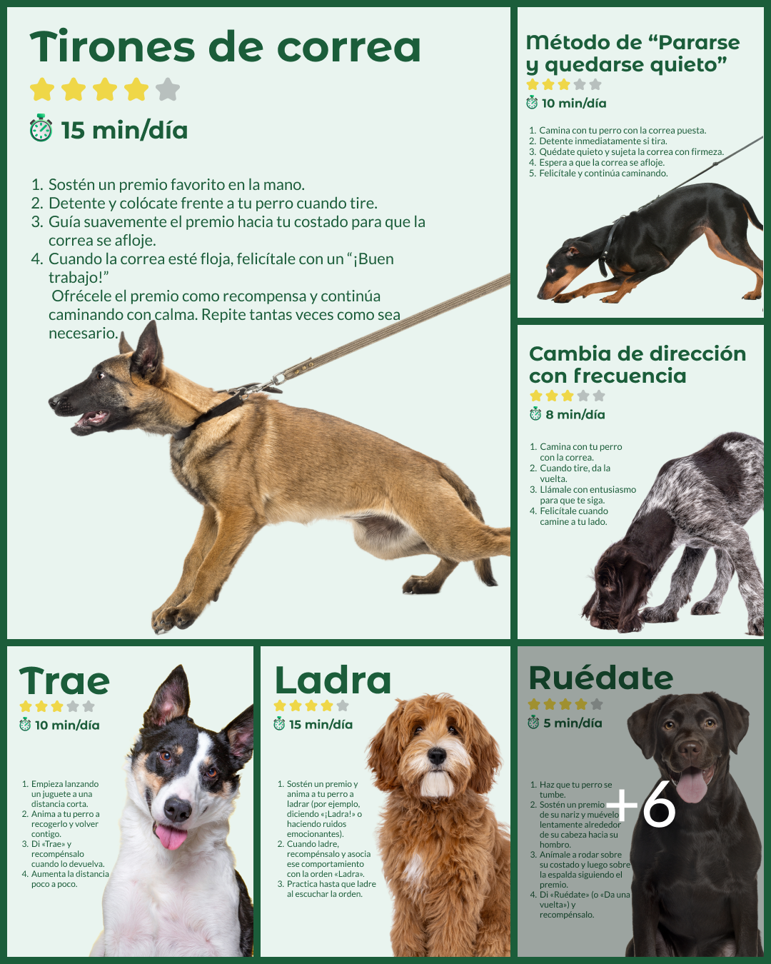 Dogo Facebook ad