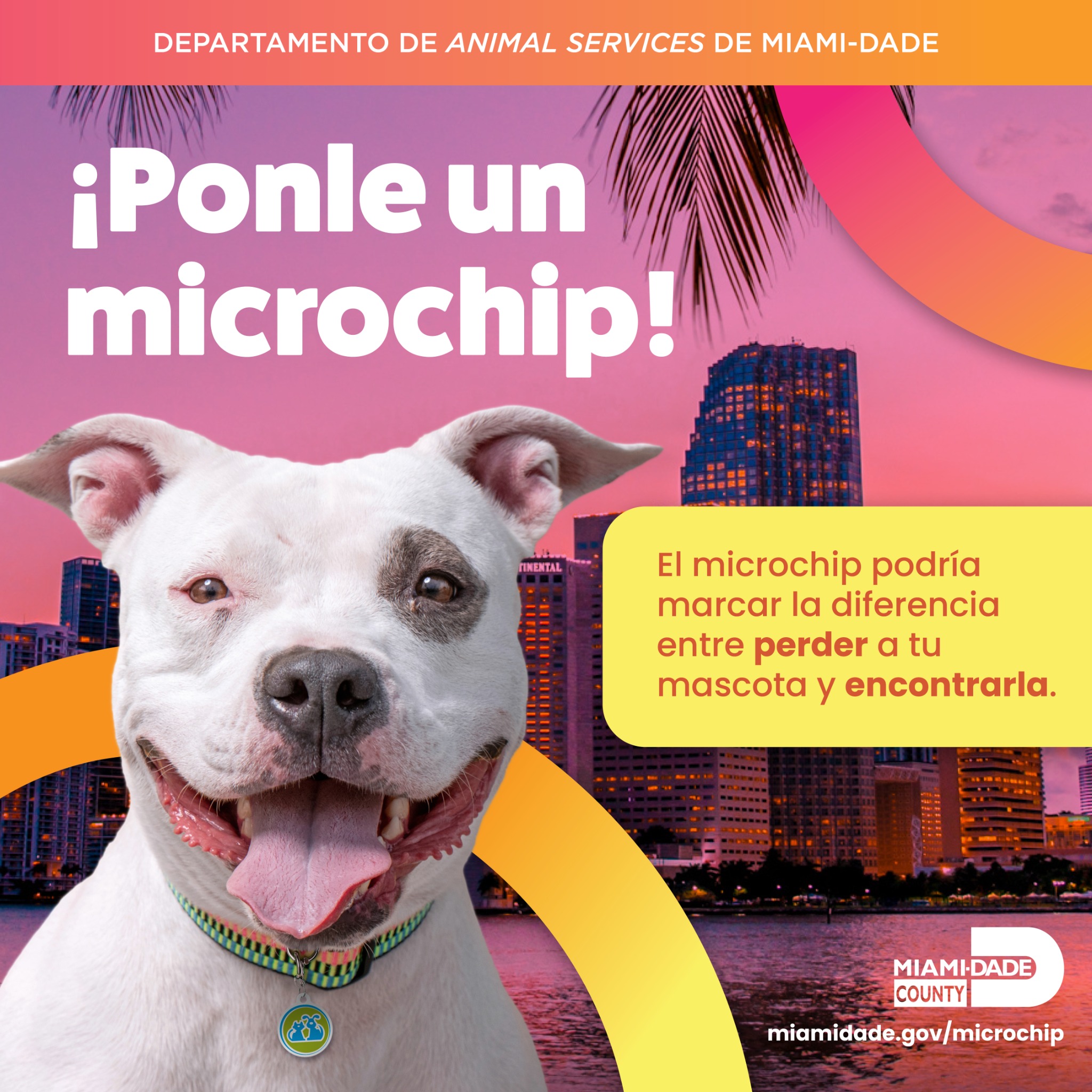 Miami-Dade Animal Services Facebook ad: Obtén un microchip para identificar a tu mascota
