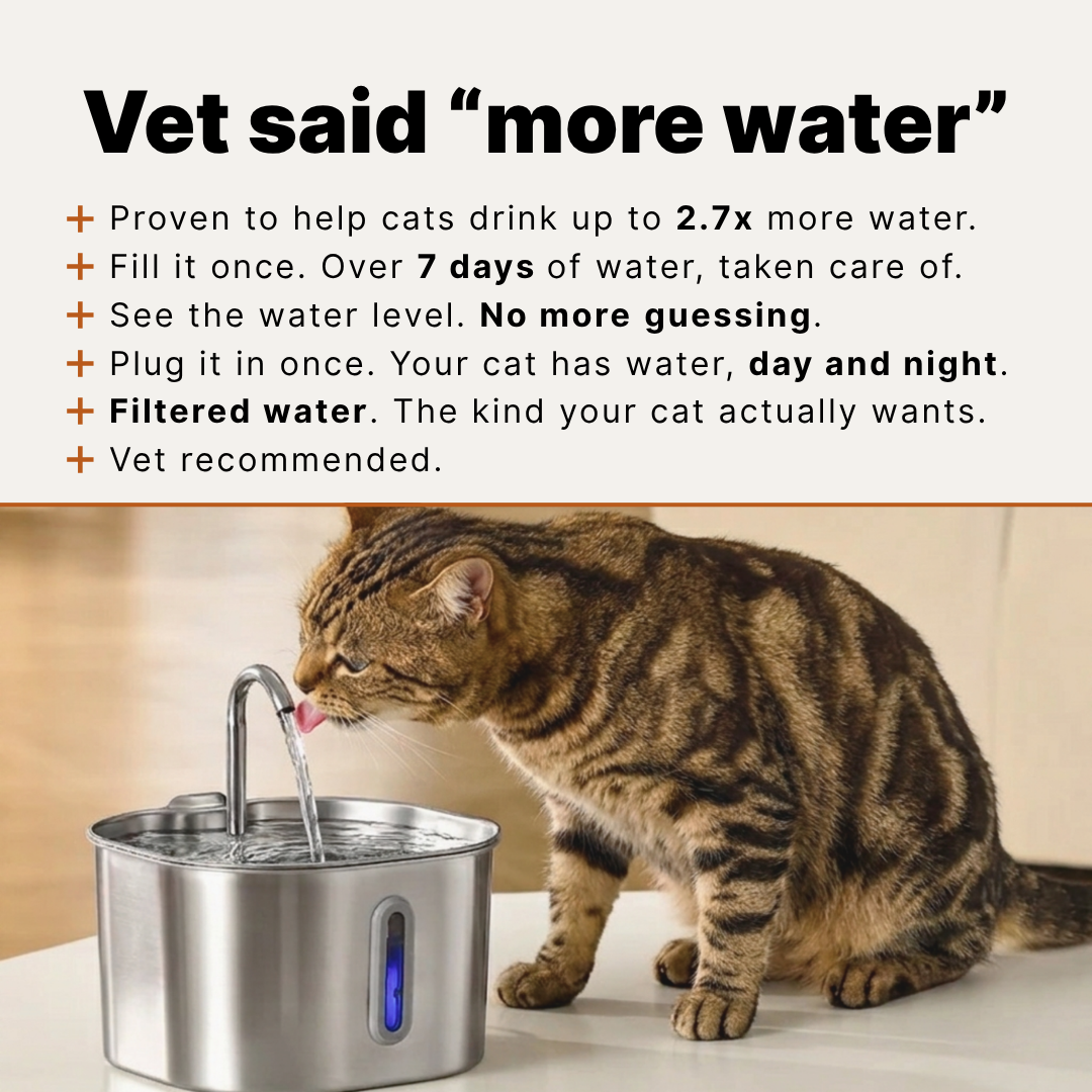 KittySprings Facebook ad: Makes The Vet's Task Easy
