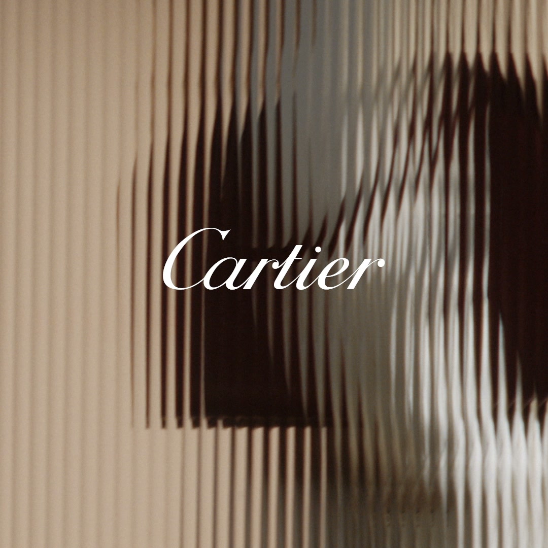 Cartier Facebook ad: The Clash Tote