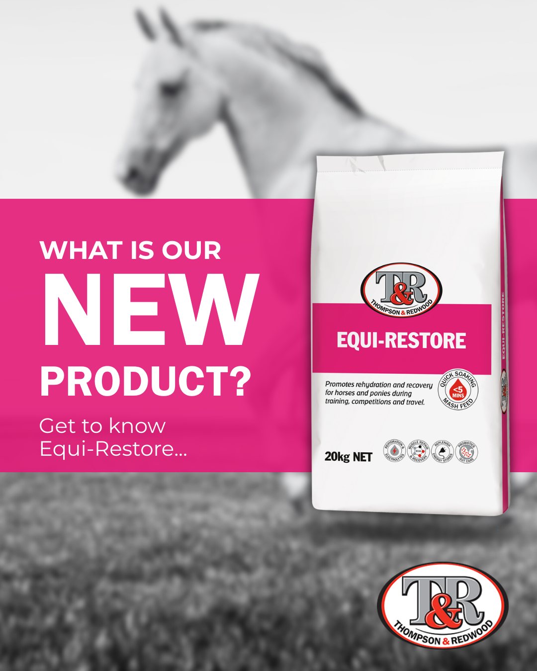 Thompson and Redwood Facebook ad: Introducing the new recovery mash for horses from…