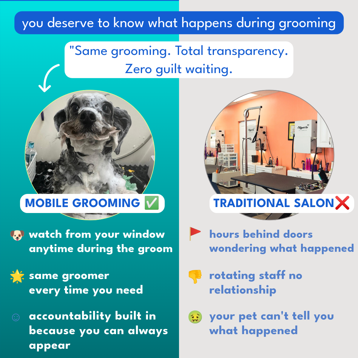 Pawradisego Mobile Grooming Facebook ad: Stress-Free Dog Grooming, Now at Your Doorstep