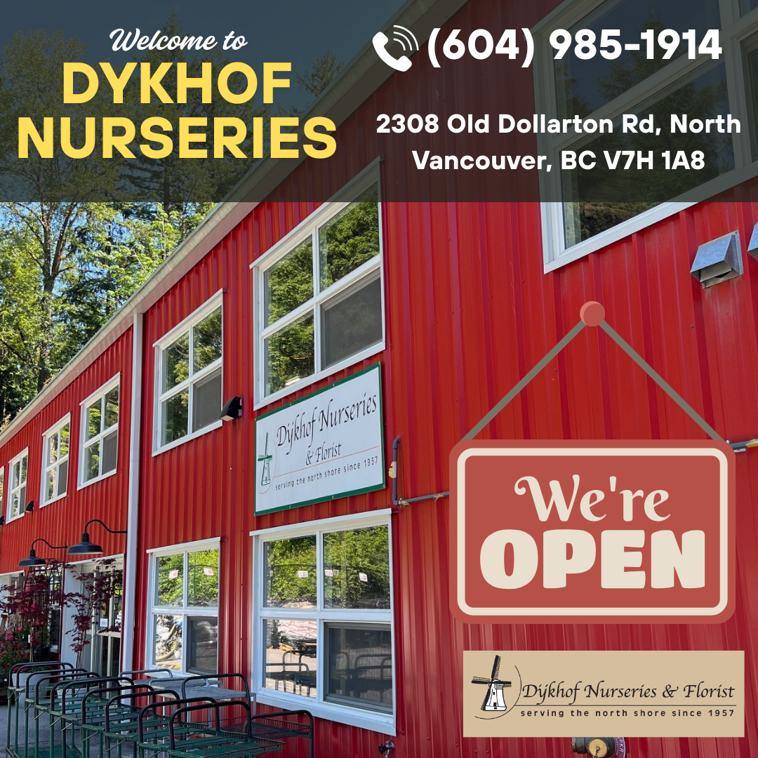 Dykhof Nurseries & Florist Facebook ad: Dykhof Nurseries