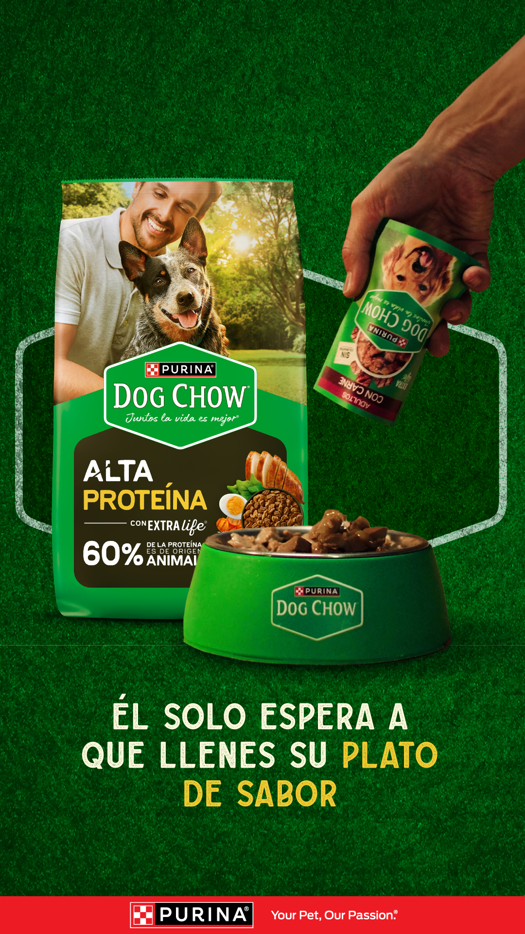 Purina Dog Chow Centroamérica Facebook ad