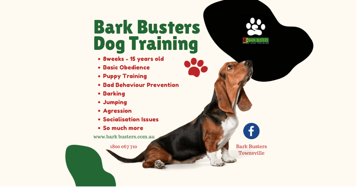 Bark Busters Townsville Facebook ad: Bark Busters In Home Dog Training in Townsville…