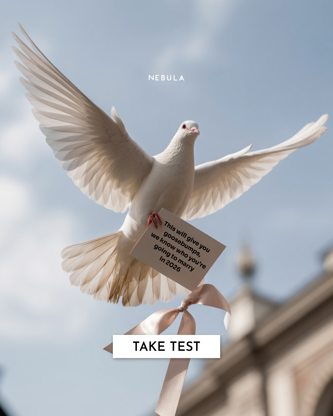 Nebula: Marriage Compatibility Facebook ad