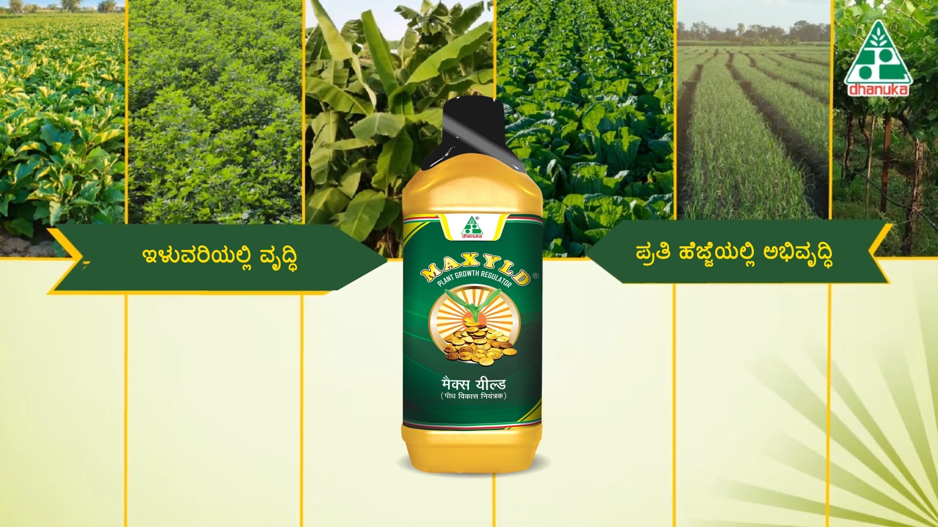 Dhanuka Agritech Ltd Facebook ad: ಇಳುವರಿಯಲ್ಲಿ ವೃದ್ಧಿ, ಪ್ರತಿ ಹೆಜ್ಜೆಯಲ್ಲಿ ಅಭಿವೃದ್ಧಿ