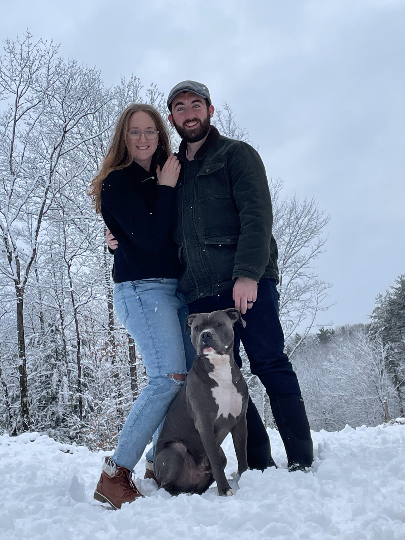 Alex's Dog Training Facebook ad: Virtual Separation Anxiety Dog Training