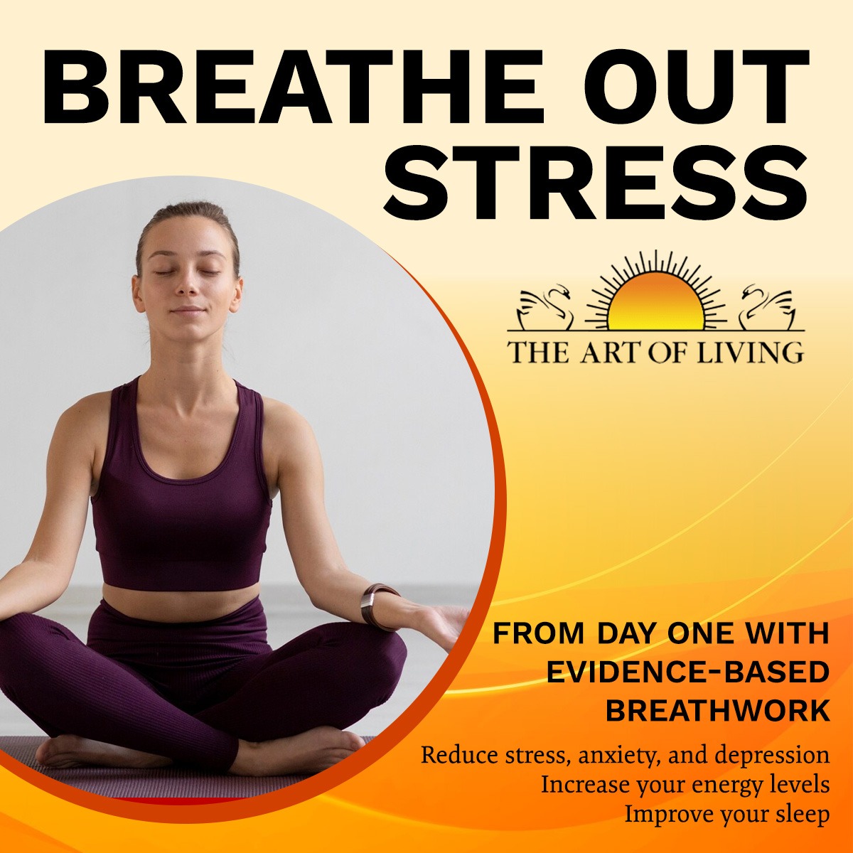The Art of Living Facebook ad