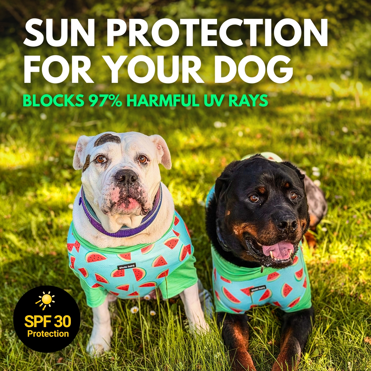 Spark Paws Facebook ad