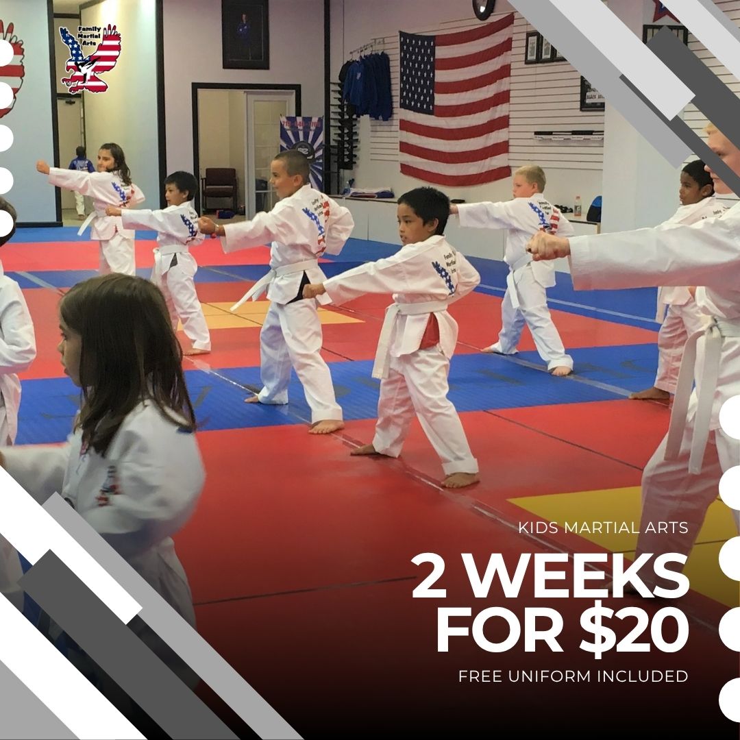 Family Martial Arts Facebook ad: Best. Summer. Ever.