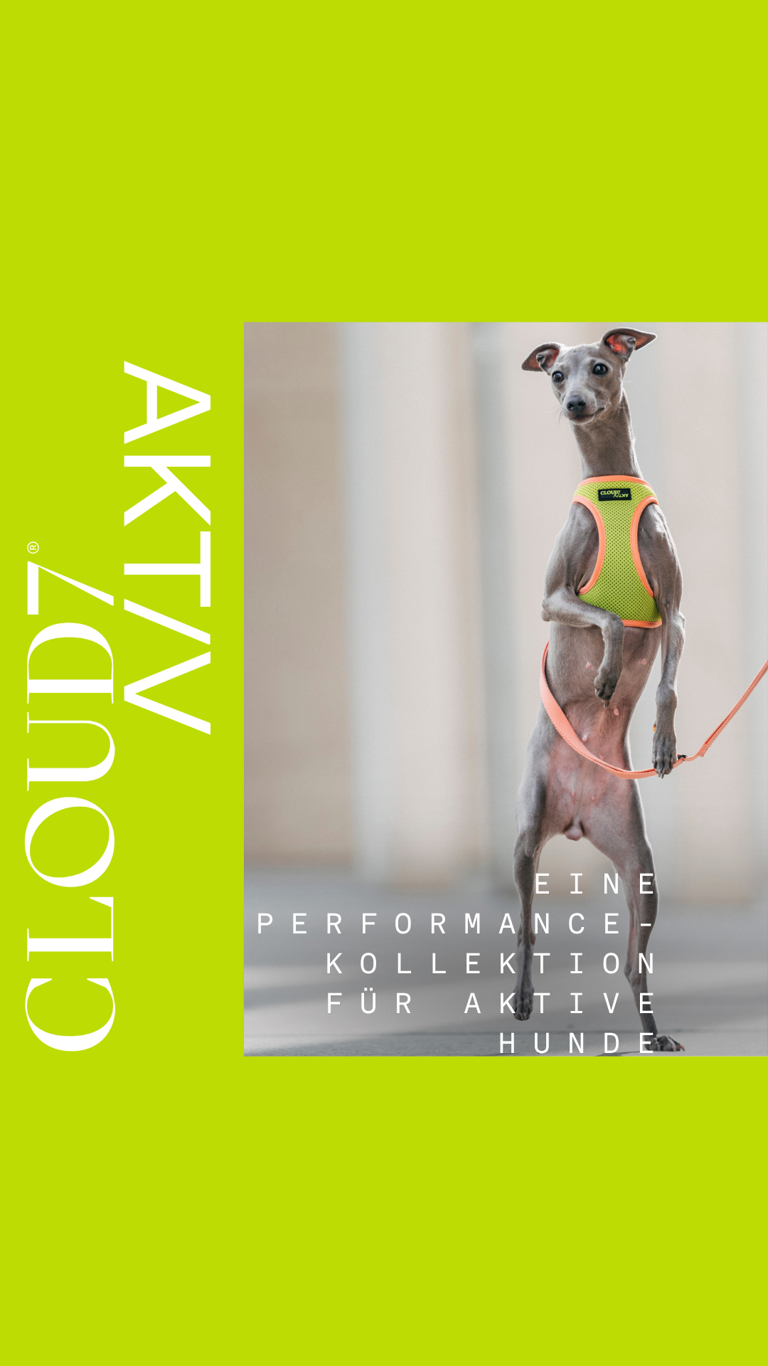 Cloud7 Facebook ad: Entdecke CLOUD7AKTIV