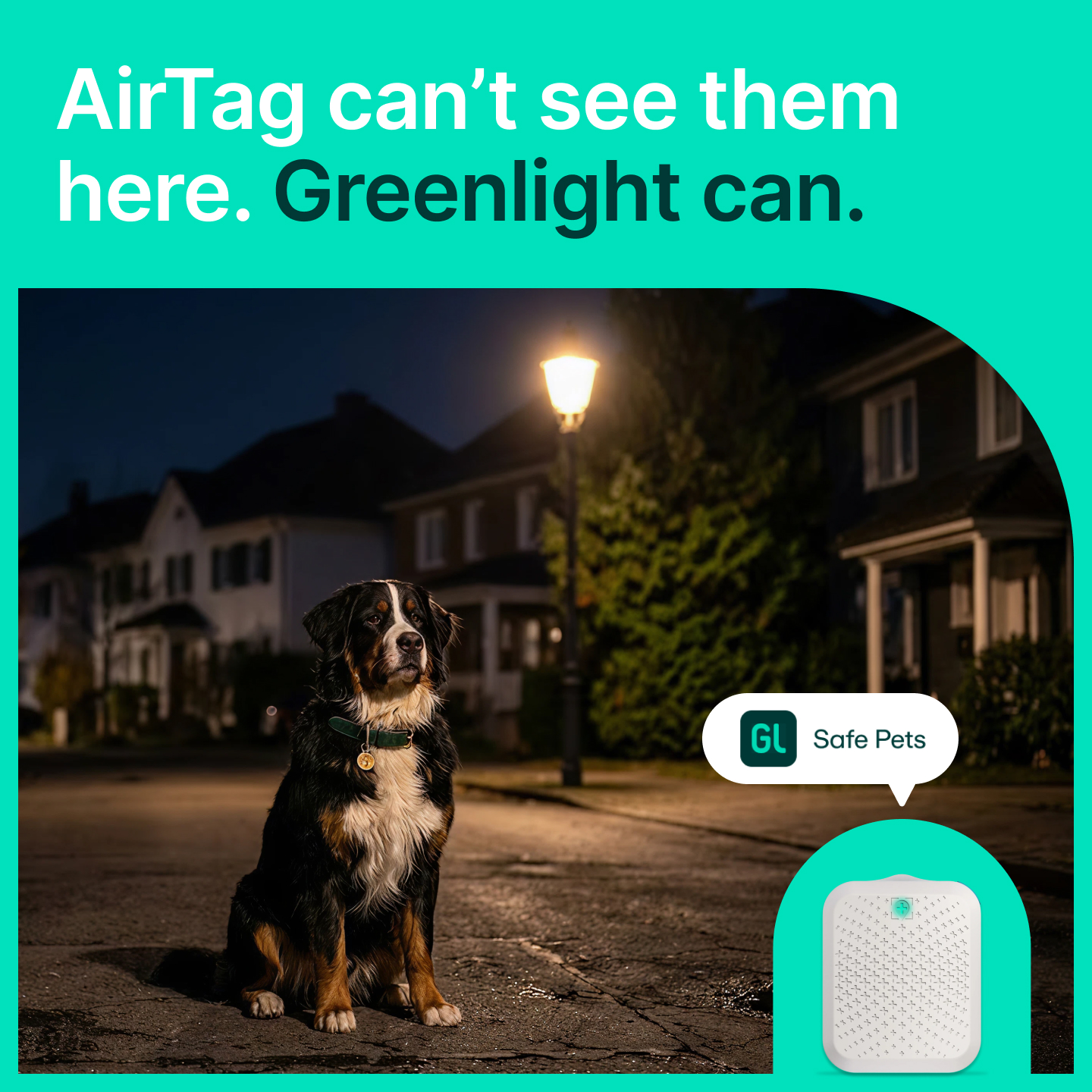 Greenlight Facebook ad