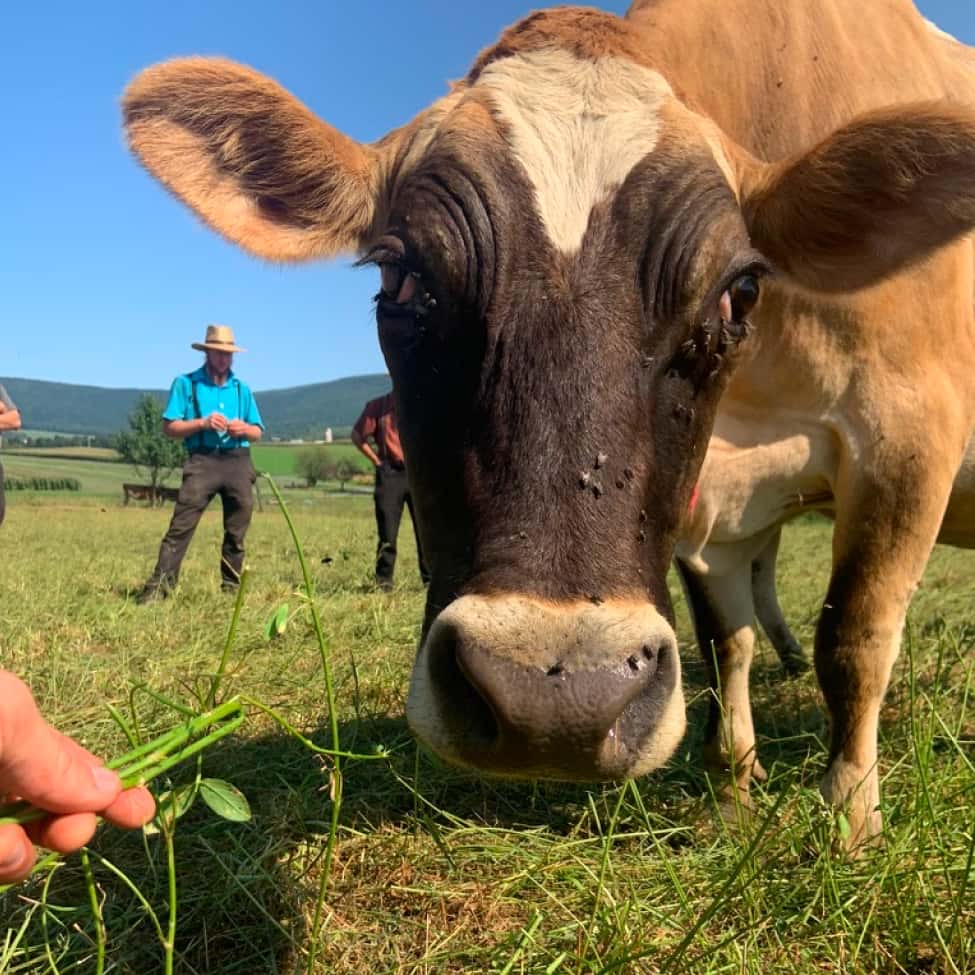 Prairie Foods Facebook ad: Clean Food From Independent Farms