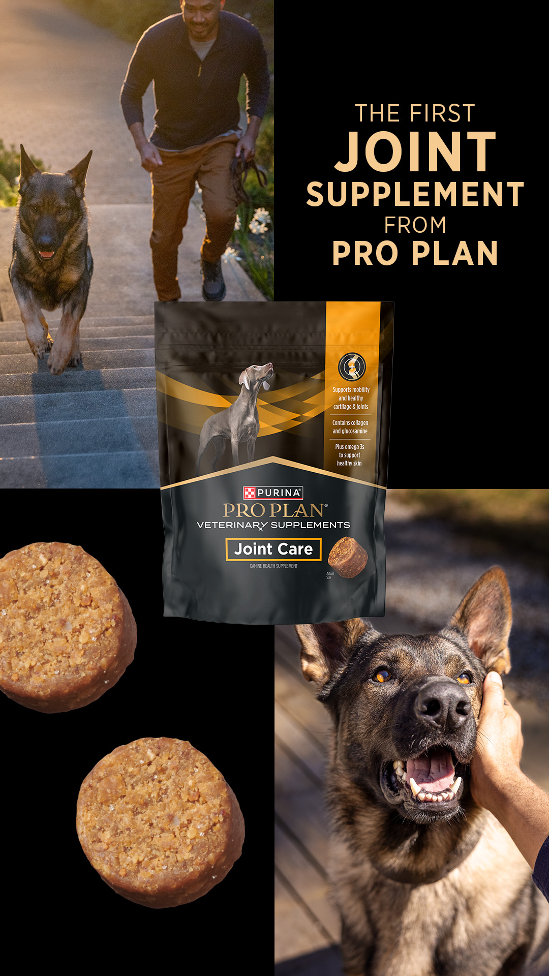 Purina Pro Plan Vet Facebook ad