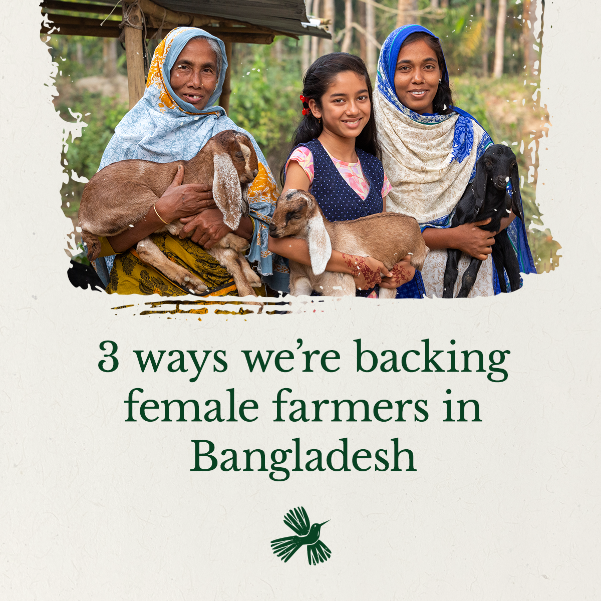 Heifer International Facebook ad: Together, we're helping level the field.