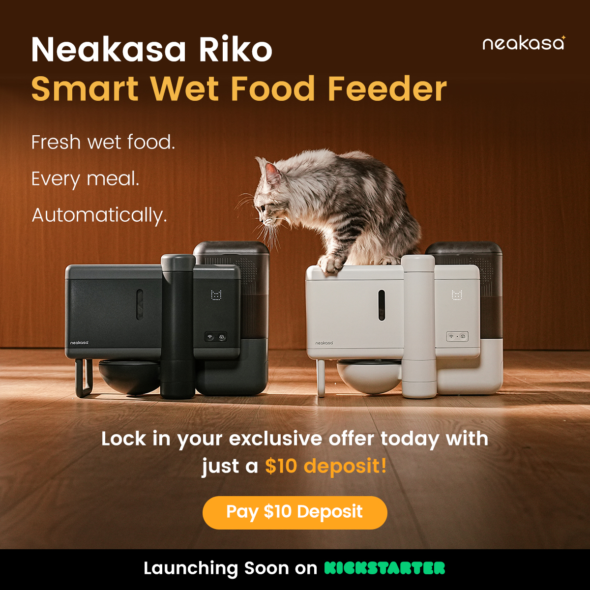 Neakasa Facebook ad