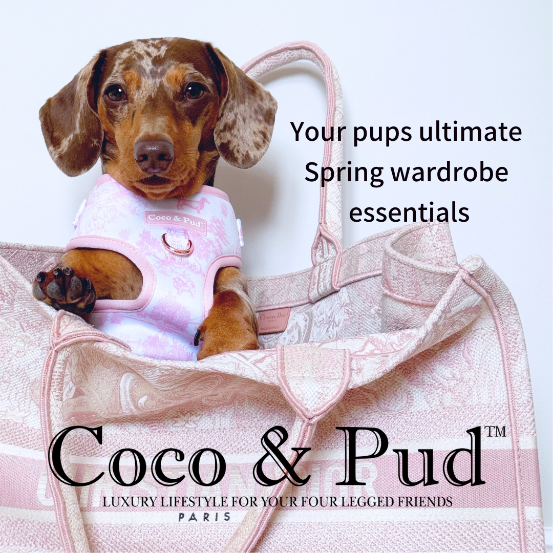 Coco and Pud Facebook ad: SPRING NEW ARRIVALS
