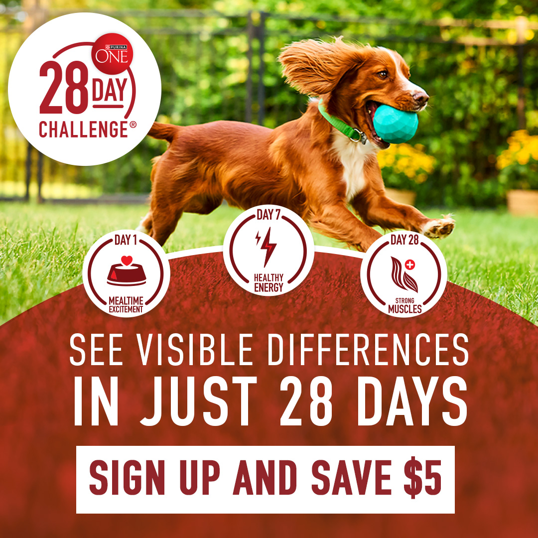 Purina ONE Facebook ad: See Visible Differences. Save $5