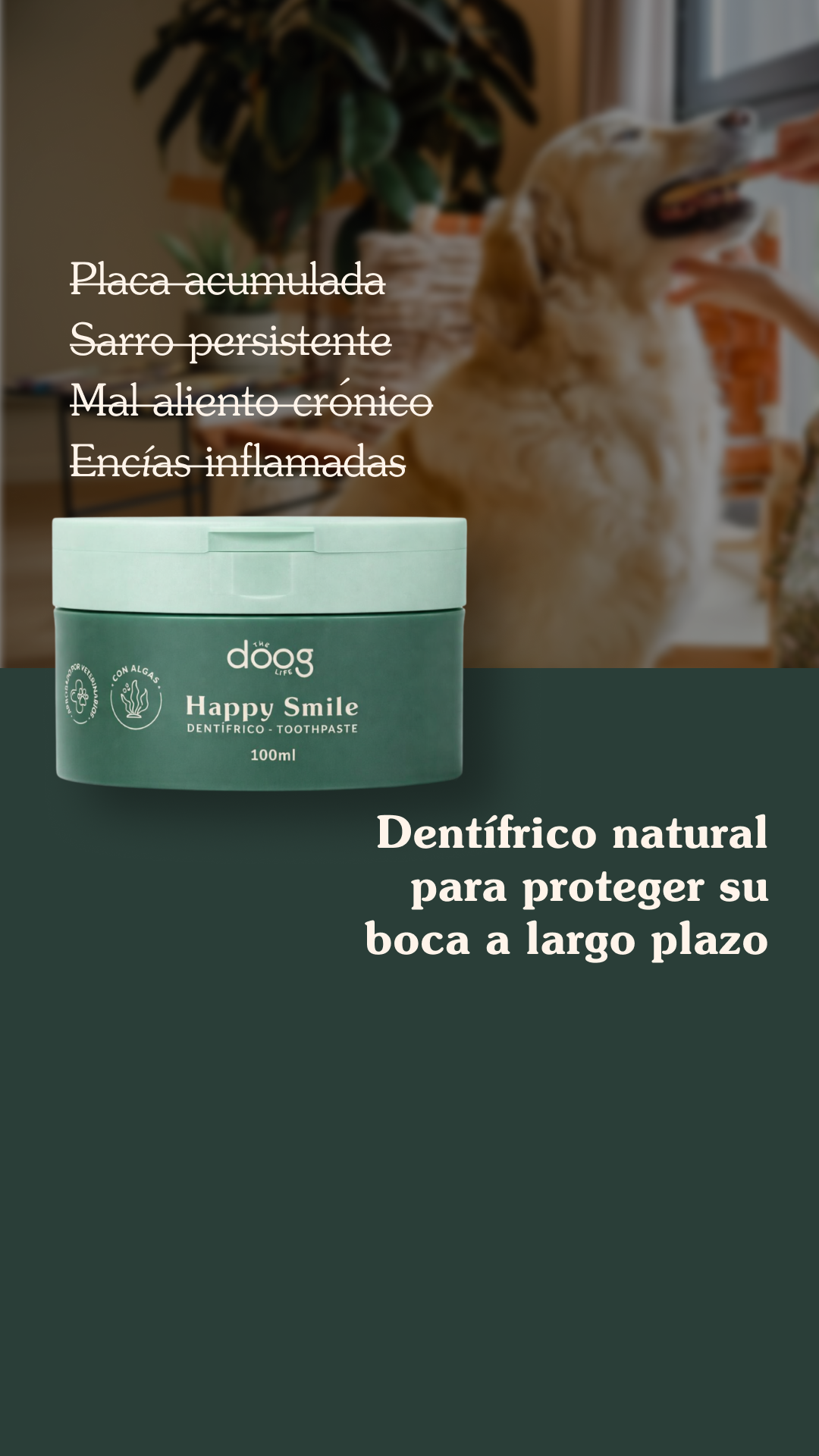 The Doog Life Facebook ad: Tu perro lo pide solo