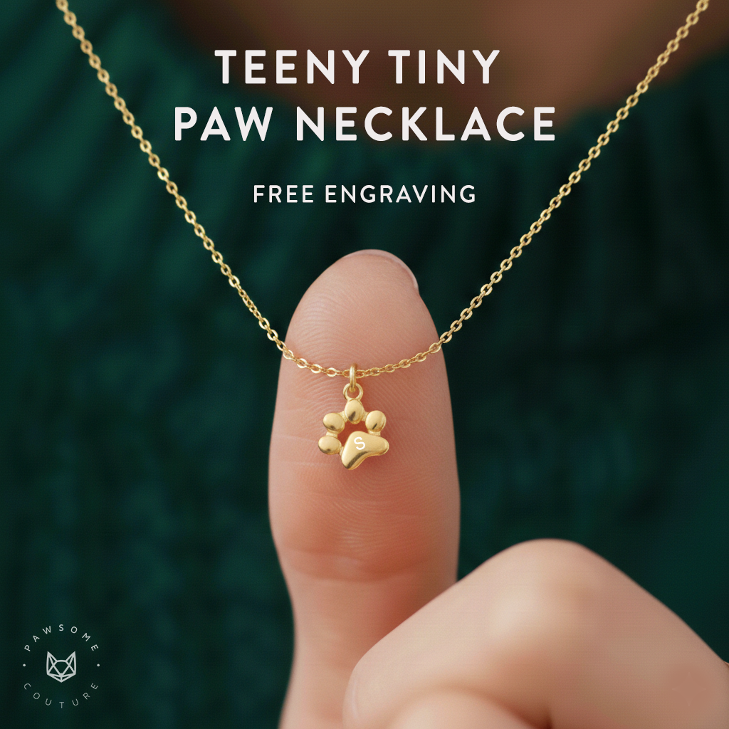 Pawsome Couture Facebook ad