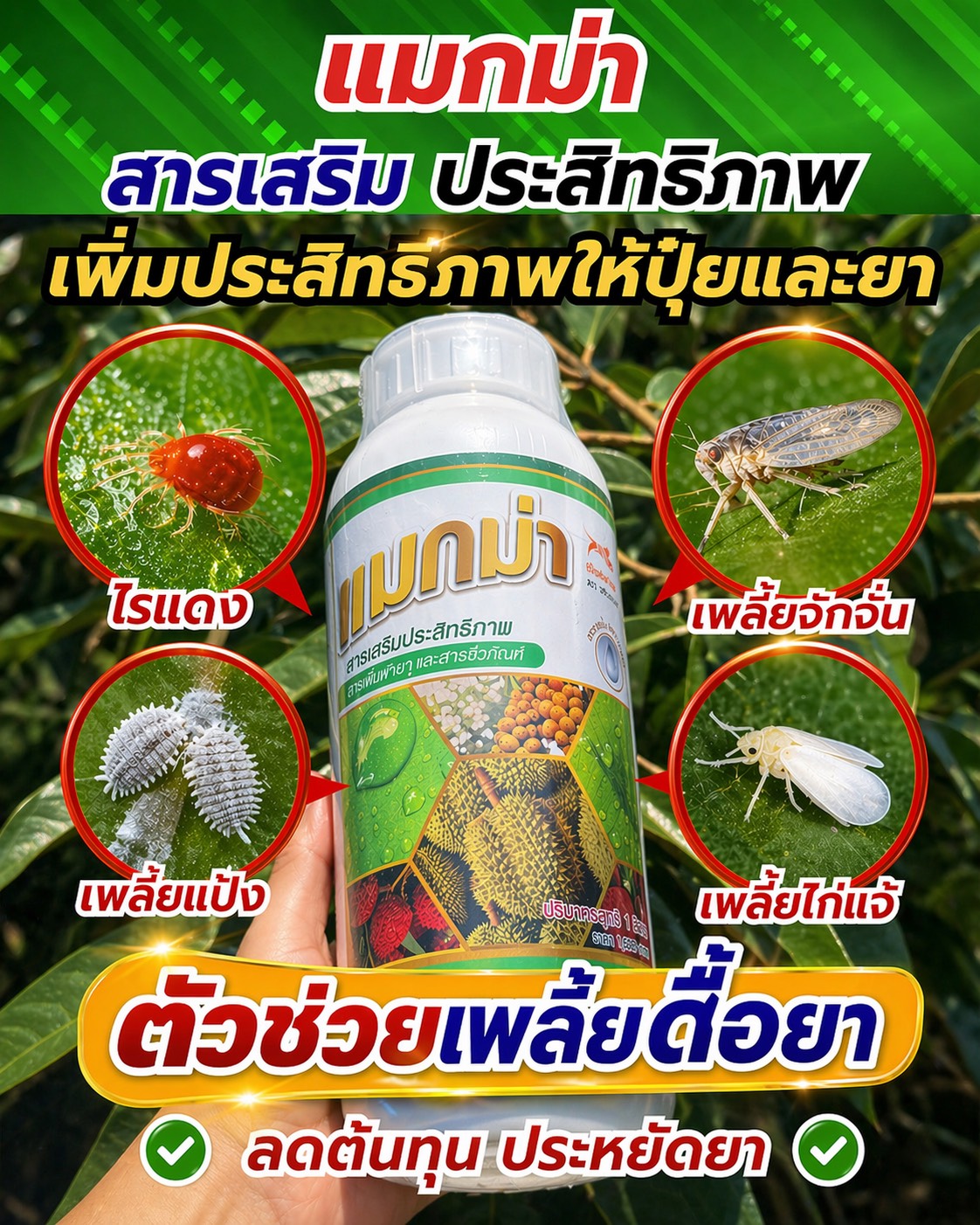 แมกม่าลาวาเพจหลัก Facebook ad: แมกม่าราคาพิเศษ 064 987 9461
